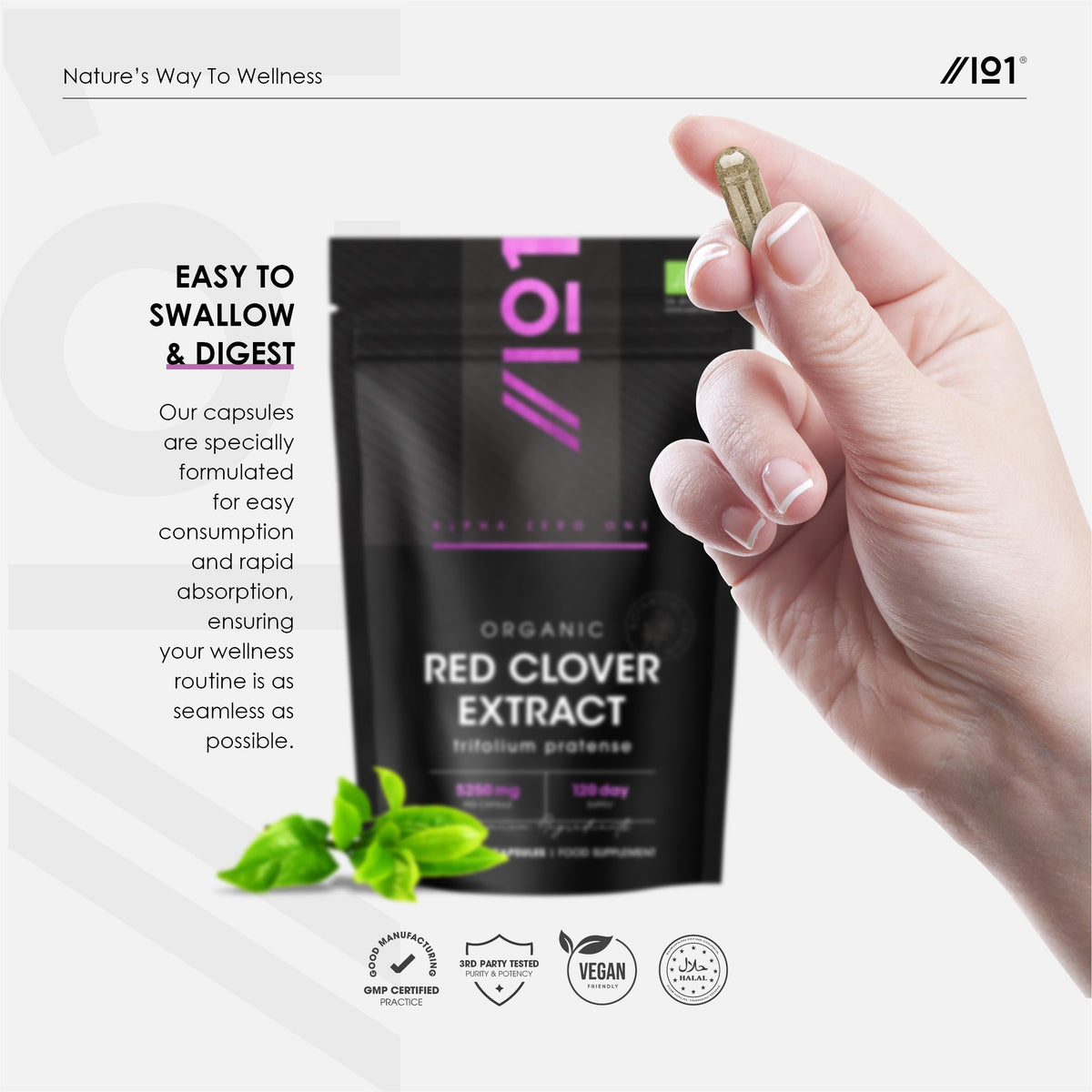 ALPHA01 Organic Red Clover Extract 5250mg - for Use During The Menopause - Potent 15:1 Pure Extract - Halal – 60 Vegan Capsules