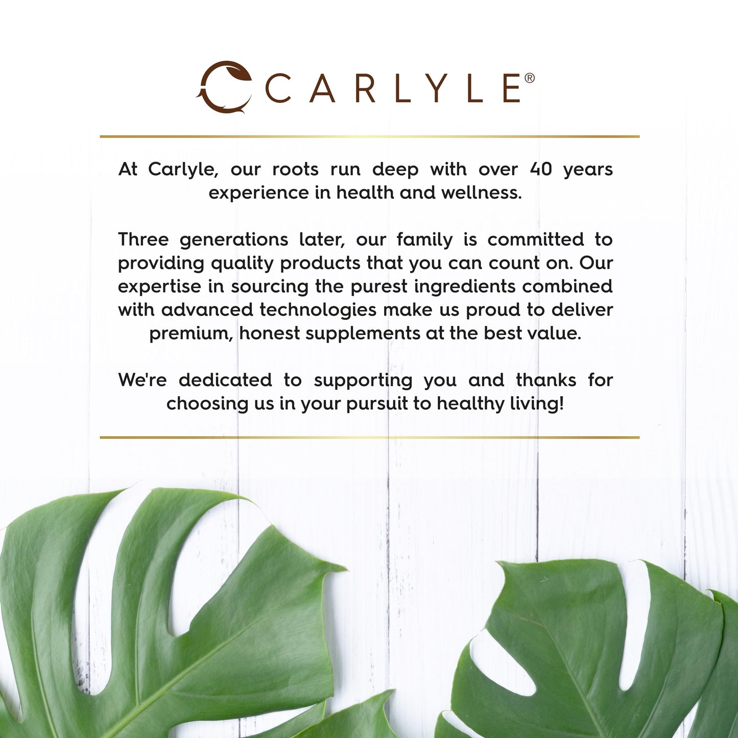 Lions Mane Supplement High Strength | 5000mg Lions Mane Supplement | from Fruit Body | 180 Vegan Tablets | Mushroom Extract | by Carlyle