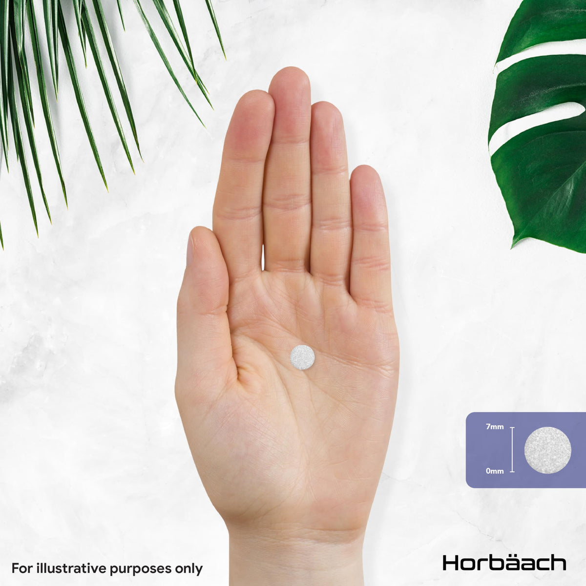 Horbäach Folic Acid Tablets 400mcg | 400 Count (1+ Year Supply) | with Added 5mcg of Vitamin B12 Cyanocobalamin | Pregnancy Support | Suitable for Vegans | By Horbaach