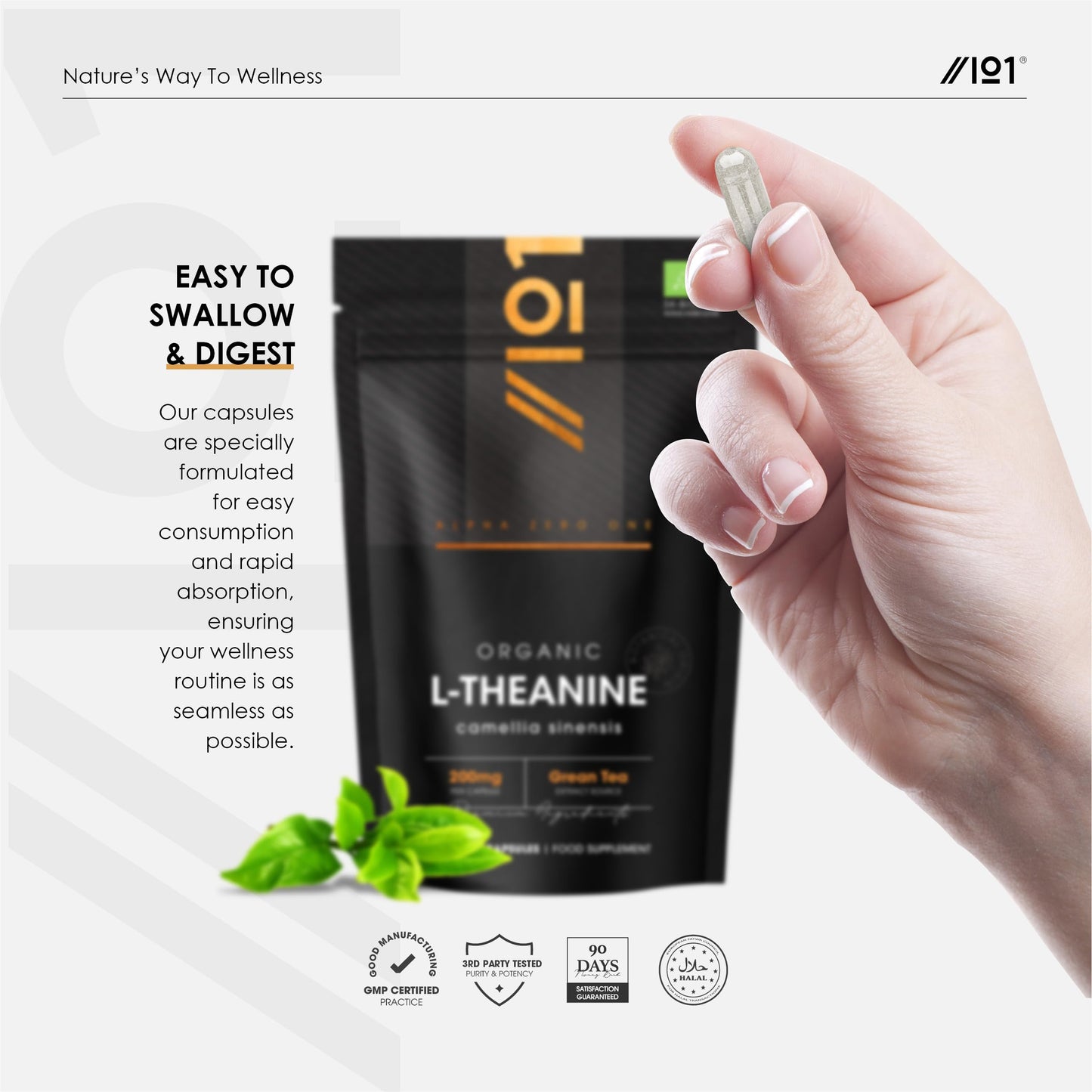 ALPHA01 Organic L-Theanine 200mg from Green Tea Extract - 60 Vegan Capsules (2 Months Supply) - Plant Based Theanine Amino Acid Supplement - Resealable and Recyclable Pouch - by Alpha01