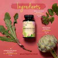 Vegavero Artichoke Leaf Extract Complex | 120 Capsules | HIGH DOSE 80% Silymarin | Liver Detox | No Additives | Vegan