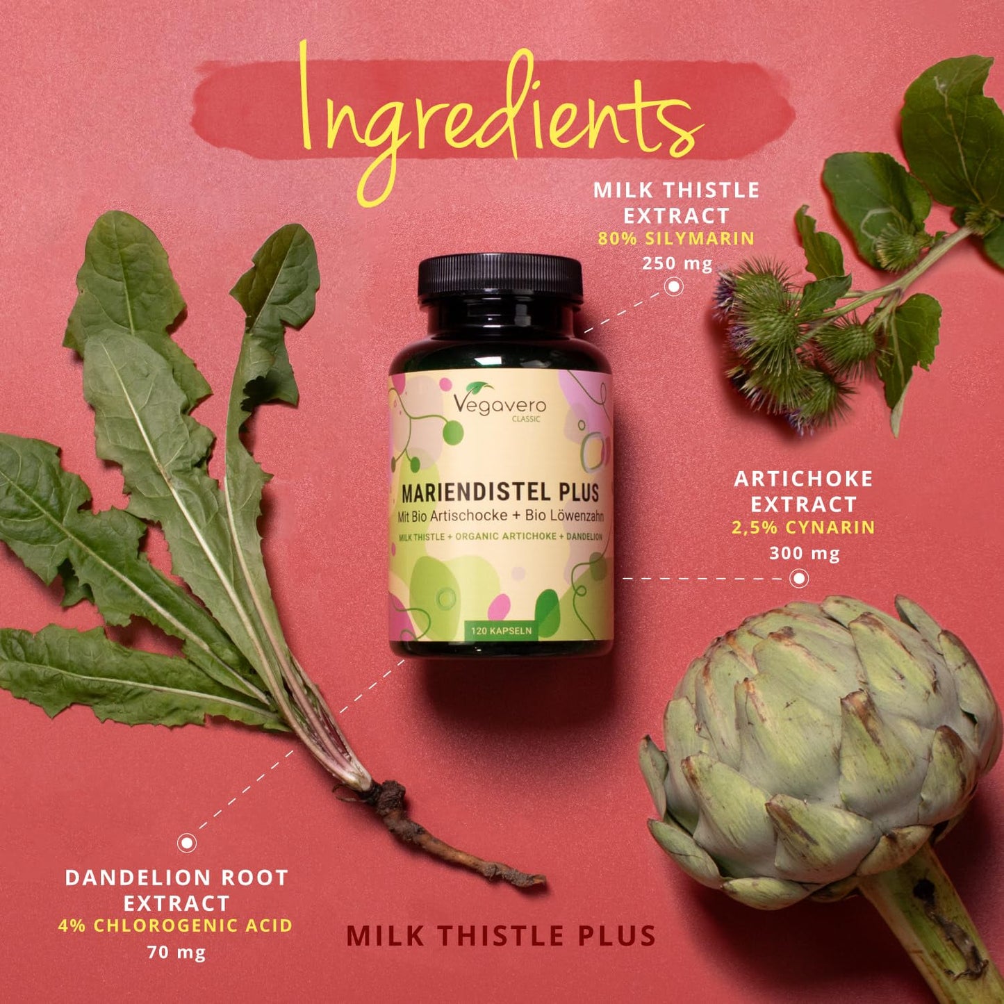 Vegavero Artichoke Leaf Extract Complex | 120 Capsules | HIGH DOSE 80% Silymarin | Liver Detox | NO Additives | Vegan