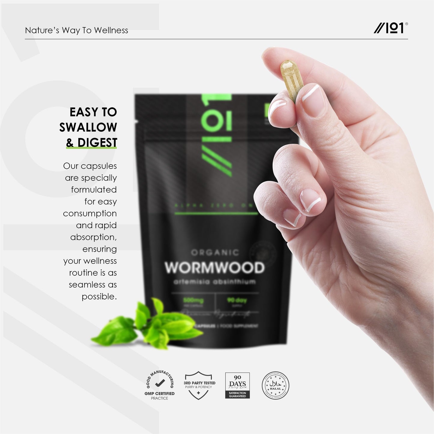ALPHA01 Organic Wormwood 500mg – High Strength Artemisia Absinthium Supplement – 90 Vegan Capsules (3 Months Supply) - Resealable and Recyclable Pouch – by Alpha01