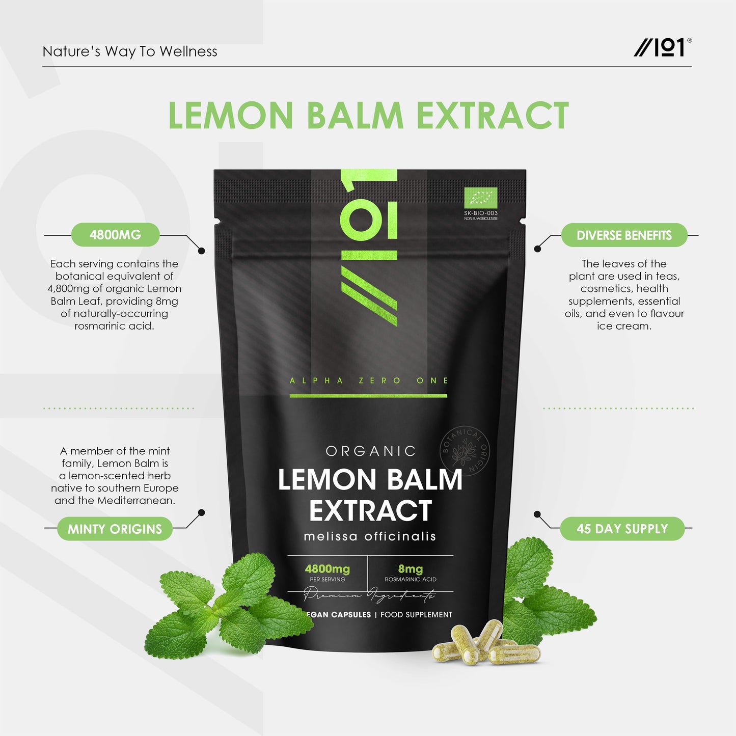 Organic Lemon Balm Extract 4800mg - 8mg Rosmarinic Acid from High Strength 6:1 Extract - 90 Vegan Capsules - Resealable and Recyclable Pouch by Alpha01