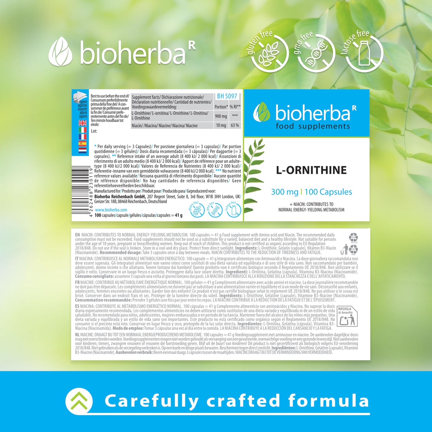 L-Ornithine 300 mg – 200 Capsules | Pure Amino Acid Supplement for Active Nutrition by BIOHERBA