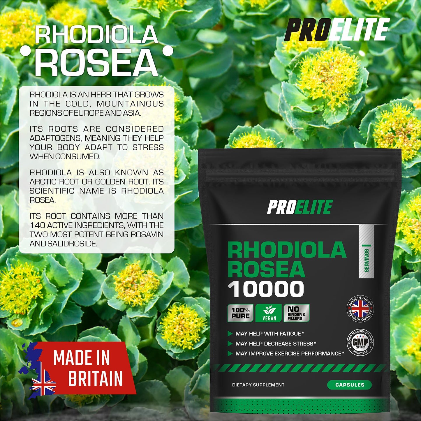 Rhodiola Rosea Extract 500mg 30 Vegan Capsules | 3% Standardised Rosavins 1% Salidrosid | Arctic Root Nootropic Adaptogen Supplement | Premium Rhodiola Root Extract | Made in UK by PROELITE