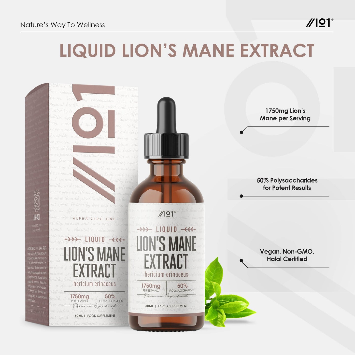 ALPHA01 Lion’s Mane Extract Liquid Drops 1750mg - High Strength 50% Polysaccharides Supplement (Not Capsules) - 60ml (1 Month Supply) - Vegan & Vegetarian Friendly – by Alpha01