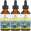 Lumarejebo Liposomal Irish Sea Moss Drops 1550MG, with Burdock Root and Bladderwrack Extract, 4X Stronger Than Pills & Gel, Support Gut & Immune Health (Pack of 3)