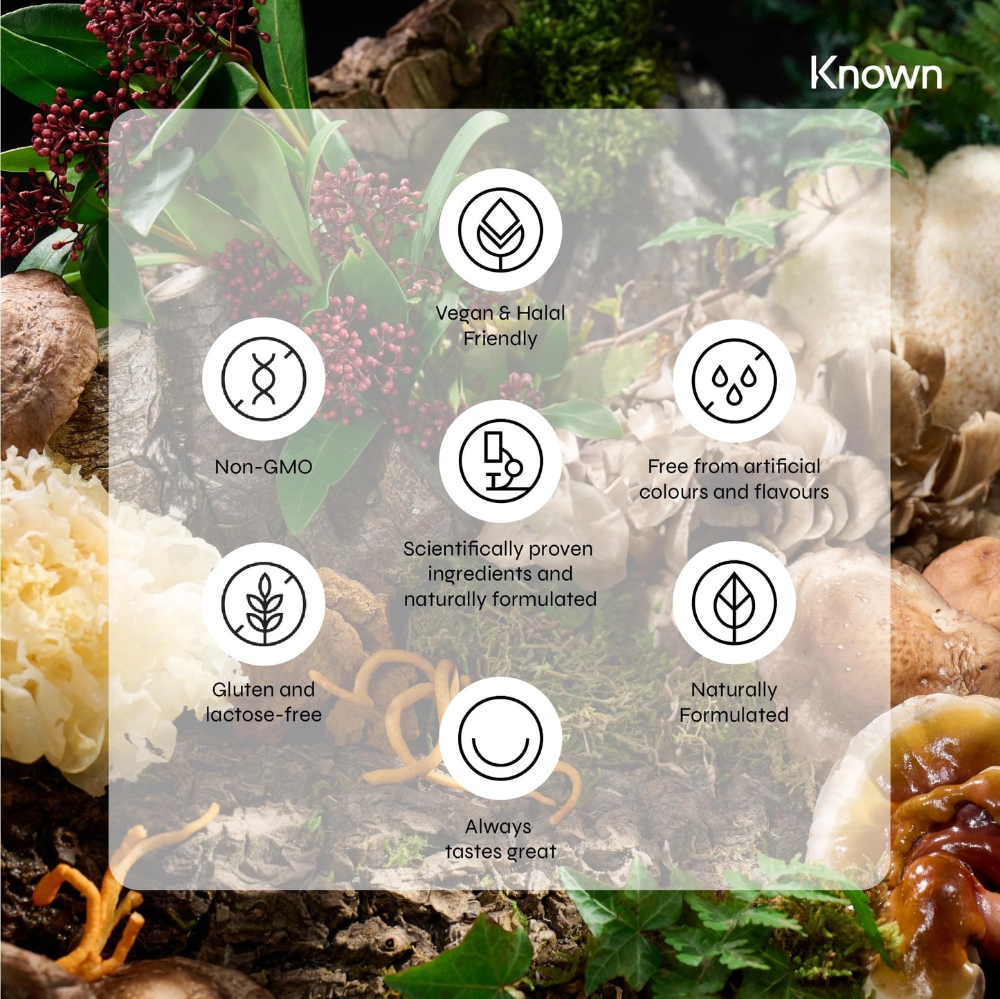 Known - Mood Mushrooms - 60 x Two-a-Day Vegan Gummies with Reishi Mushrooms, Lions Mane and Ashwagandha - Halal Apple Pie Flavoured Adaptogenic Mushroom Gummy - Nootropic Supplement for Mood & Stress