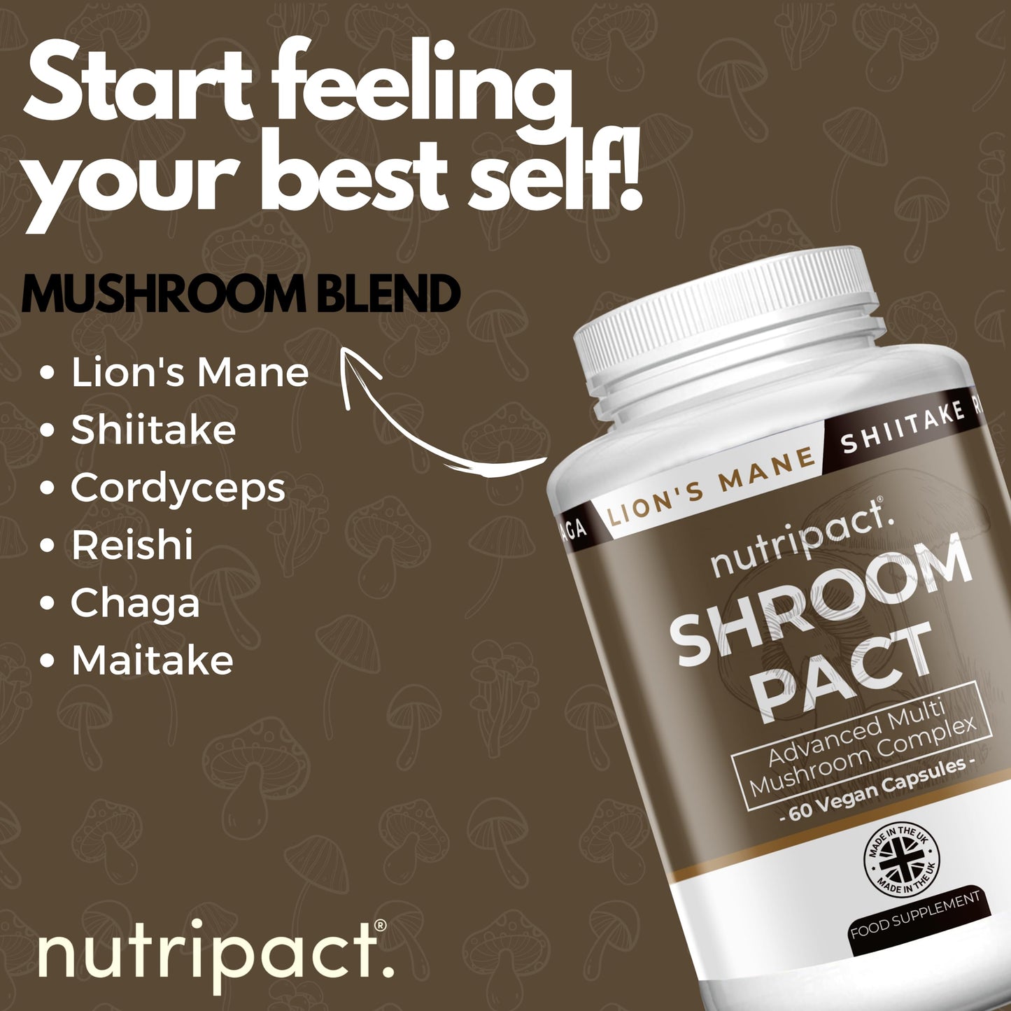 Multi Mushroom Complex by Nutripact - Contains Lions Mane, Reishi, Chaga Mushroom Powder, Shitake, Cordyceps & Maitake - High Strength Vegan Supplement - 60 Capsules - Shroompact