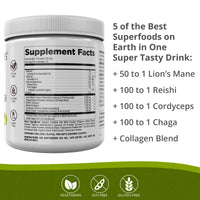 BiOptimizers Chocolicious Mushroom Breakthrough | Nootropic Supplement Blended Powder of Mushroom, Collagen & Superfoods: Lion’s Mane, Chaga, Reishi | 30 Servings