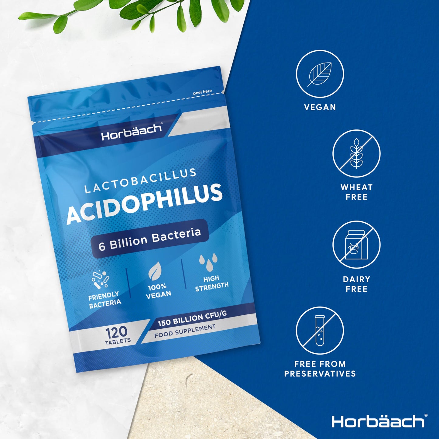Acidophilus Probiotic Tablets | 6 Billion CFU | Probiotic Supplement for Women & Men | 120 Vegan Tablets | by Horbaach