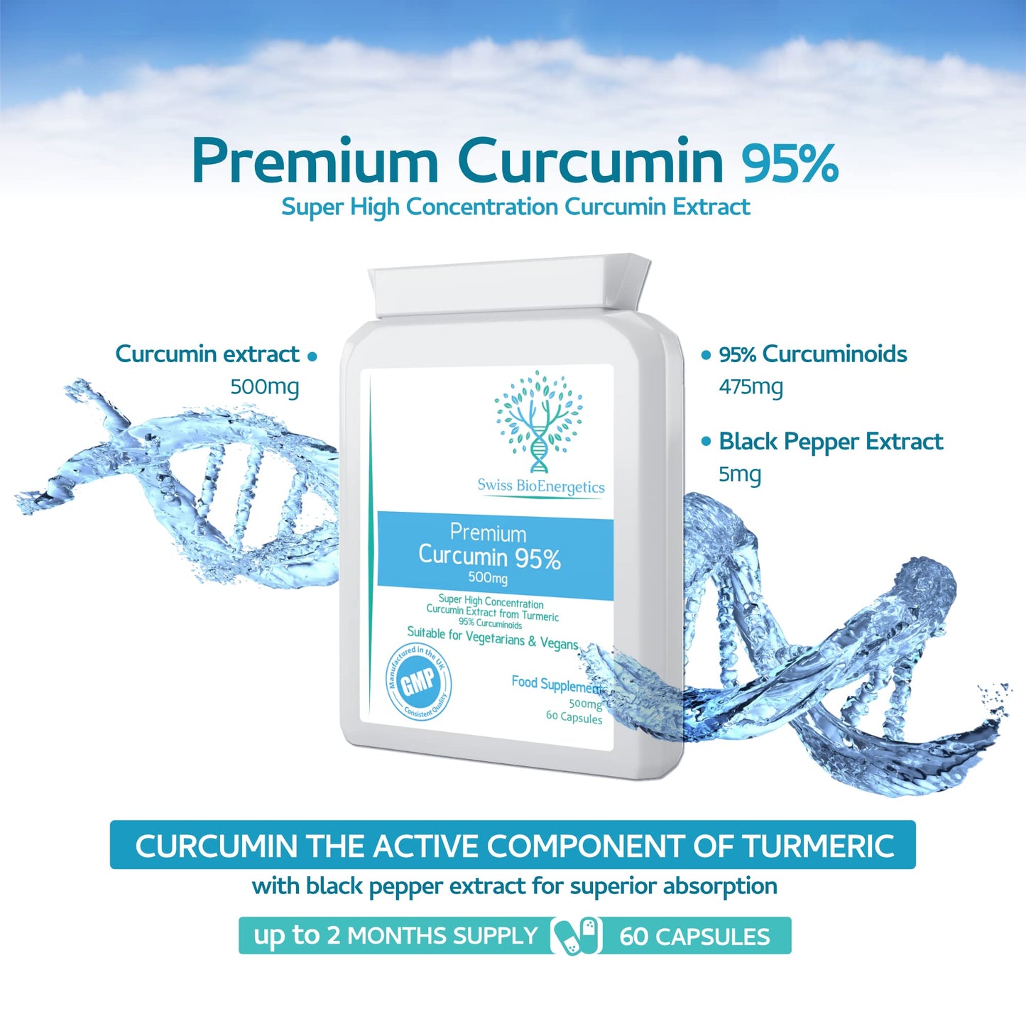 Premium Curcumin 95% with Black Pepper Extract 500mg - 60 Vegan Capsules - Turmeric Extract Minimum 95% Curcuminoids