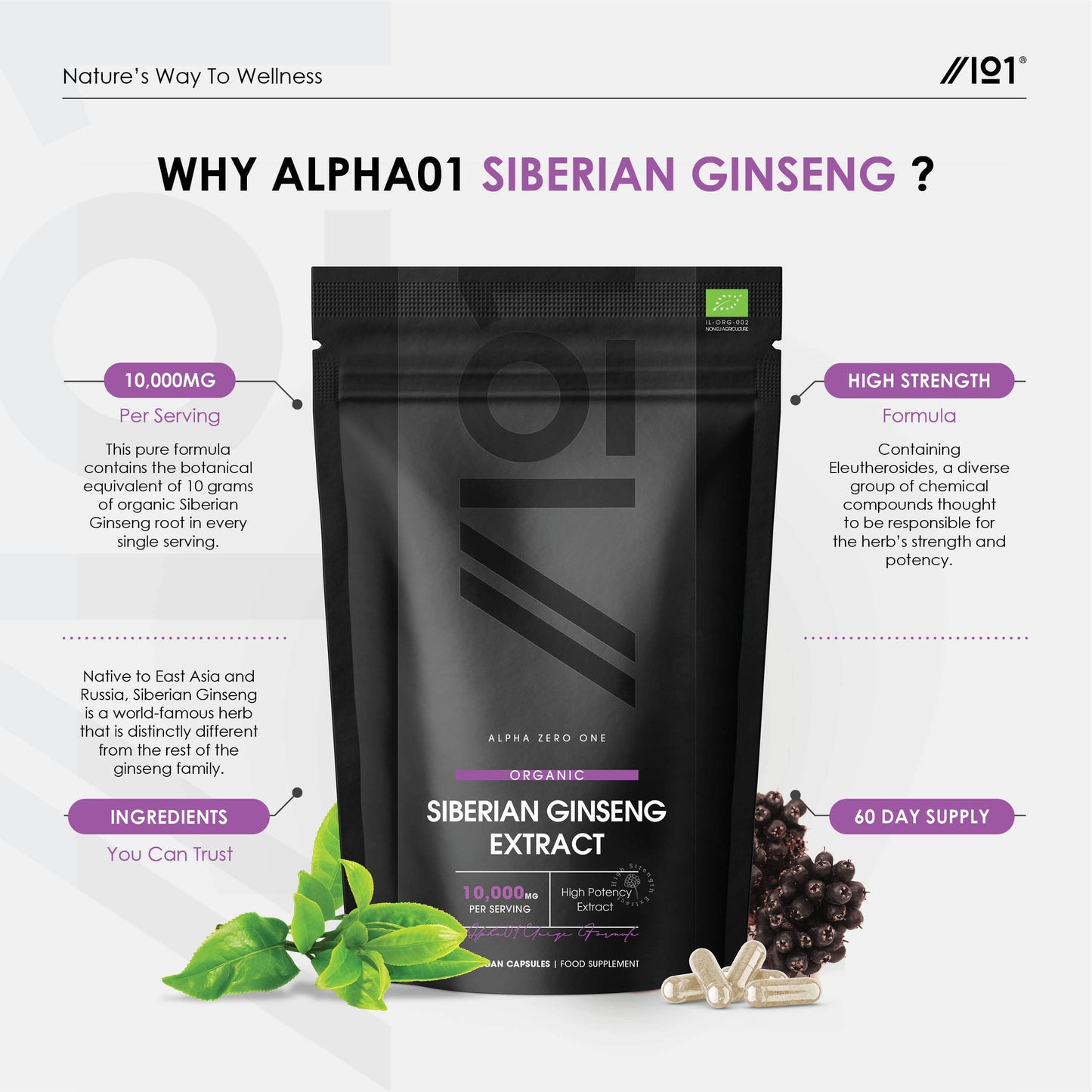 Organic Siberian Ginseng 10,000mg - High Strength Eleutherococcus Senticosus 15:1 Extract - No Additives — Non-GMO, Gluten Free, Halal. ֿ120 Vegan Capsules