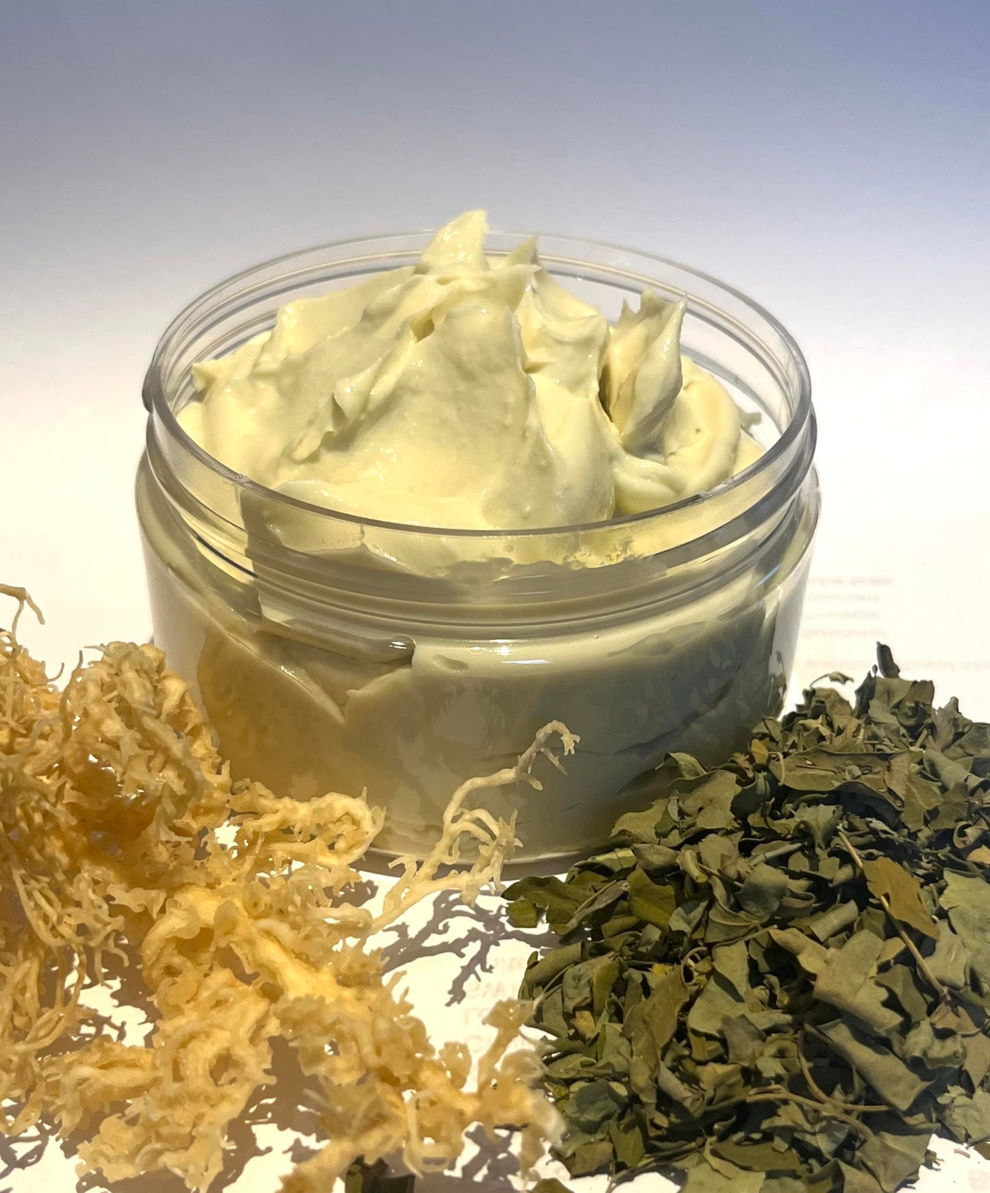 Cocoshea Sea Moss Cream | Nourishing and Moisturinsing | Made with Sea moss, Cocoa & Shea butters, Argan, Advocado Coconut oils | Unscented | Vegan & Animal freindly Skincare