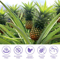 ITSDAWN Feminine Balance Gummies - 60 Gummies Hawaiian Pineapple - Premium Feminine Balance Gummies for Women of All Ages