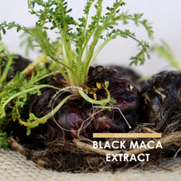 ALPHA01 Organic Black Maca Extract 15,000mg with Black Pepper - 90 Vegan Capsules (3 Months Supply) – High Strength 30:1 Black Maca Extract - Resealable and Recyclable Pouch – by Alpha01