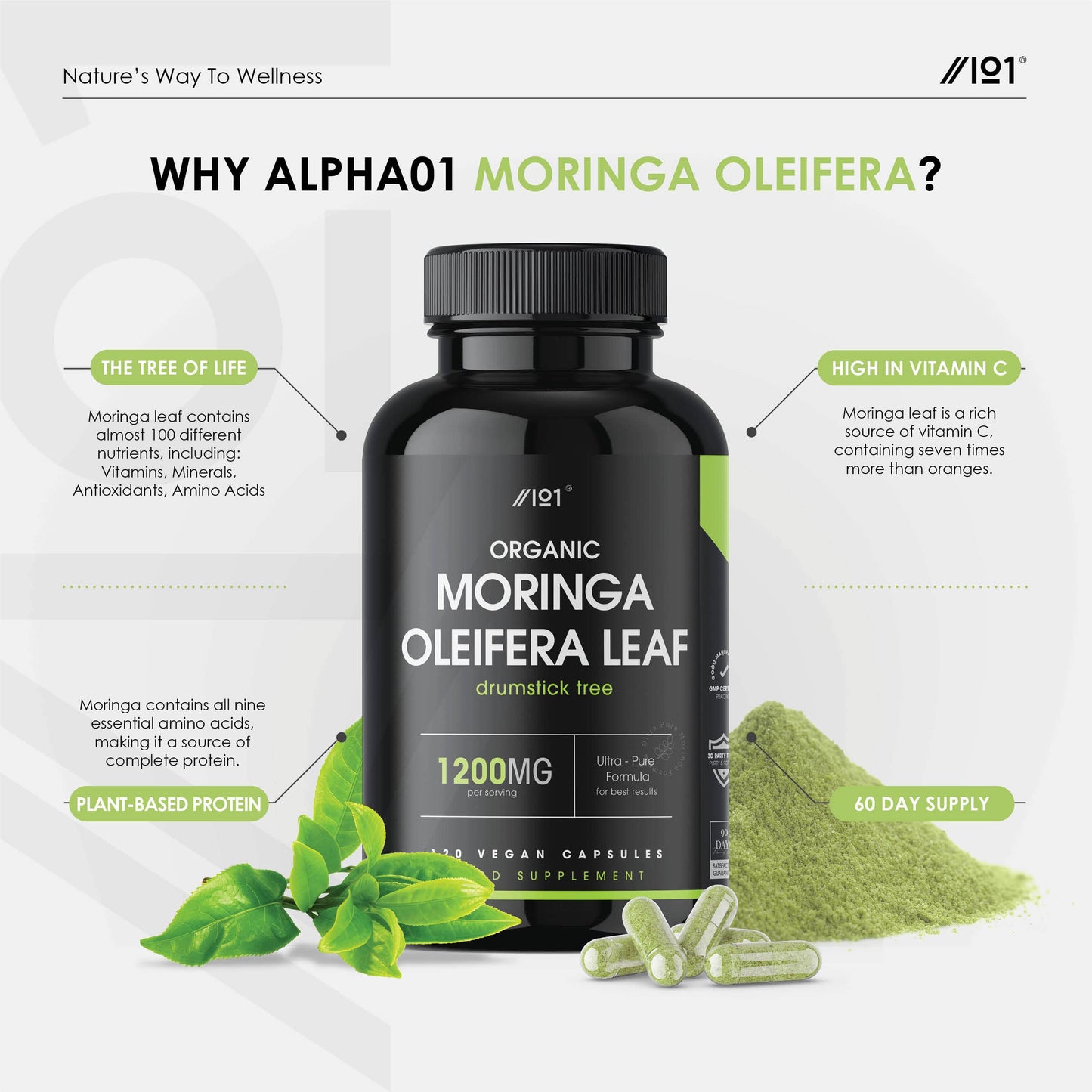 ALPHA01 Organic Moringa 1200mg - 120 Capsules - Raw Moringa Oleifera Leaf - Rich in Vitamins, Antioxidants & Amino Acid (2 Months Supply) by Alpha01