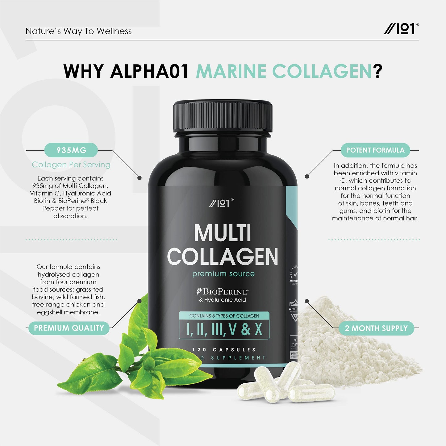 Multi Collagen Capsules - 240 Capsules - Types I, II, III, V & X - Wild Caught Fish, Grass Fed Bovine, Eggshell & Free-Range Chicken, Hyaluronic Acid & Vitamin C (4 Months Supply) by Alpha01