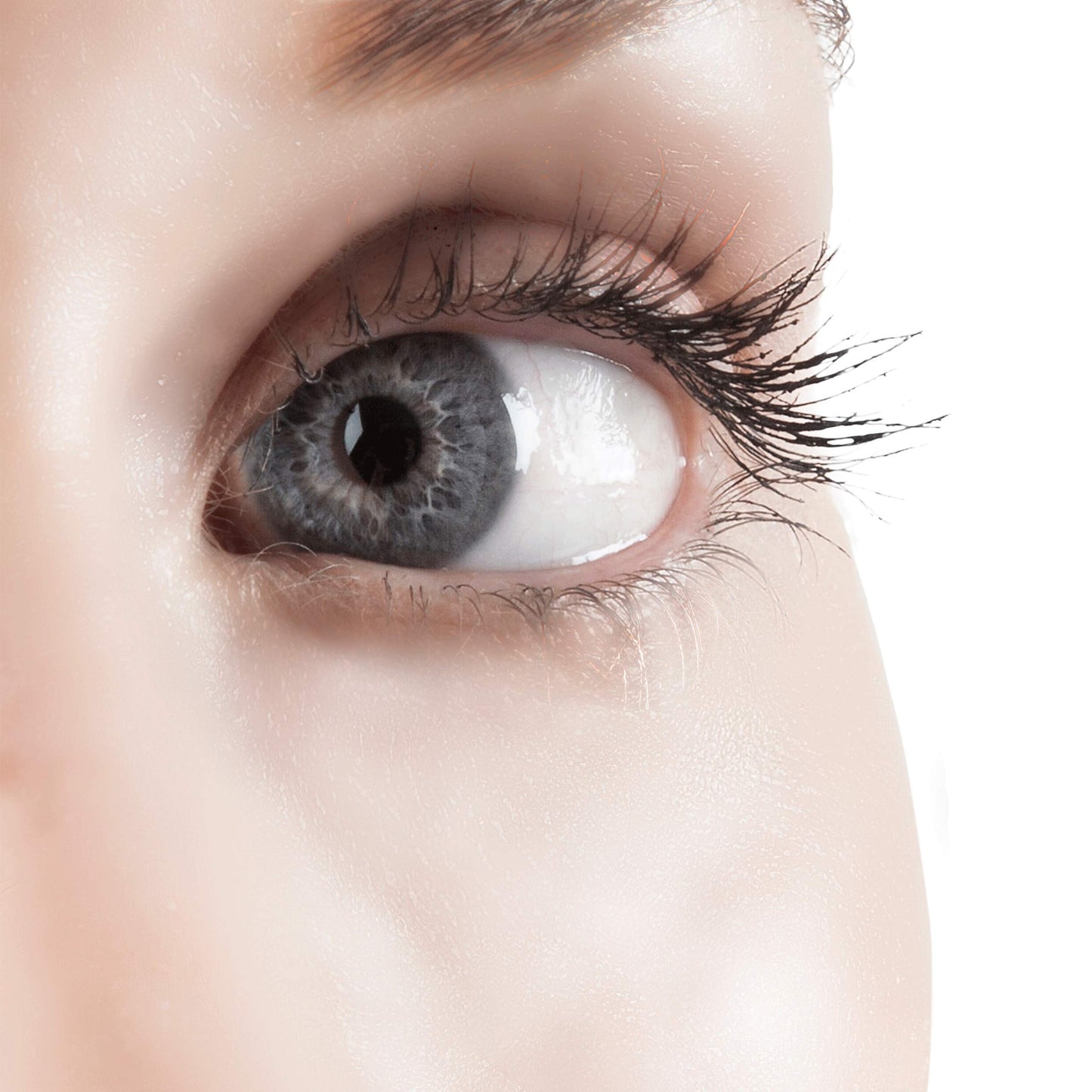 Biovène Next Lash Plus+ Serum for Dramatic Eyelashes - Growth Serum for Lashes - For More Beautiful Eyelashes - Consists of Essential Vitamins - For Voluminous, Natural Eyelashes (6 ml), (Pack of 1)