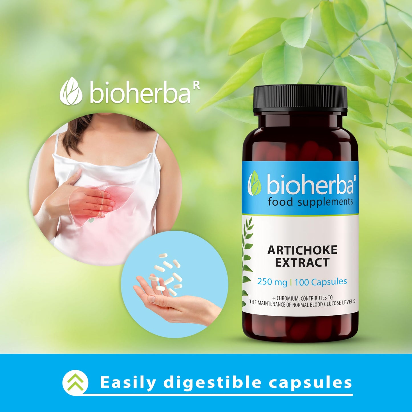 Artichoke Capsules 250 mg - 200 High-Potency Capsules for Liver Health and Detox by BIOHERBA