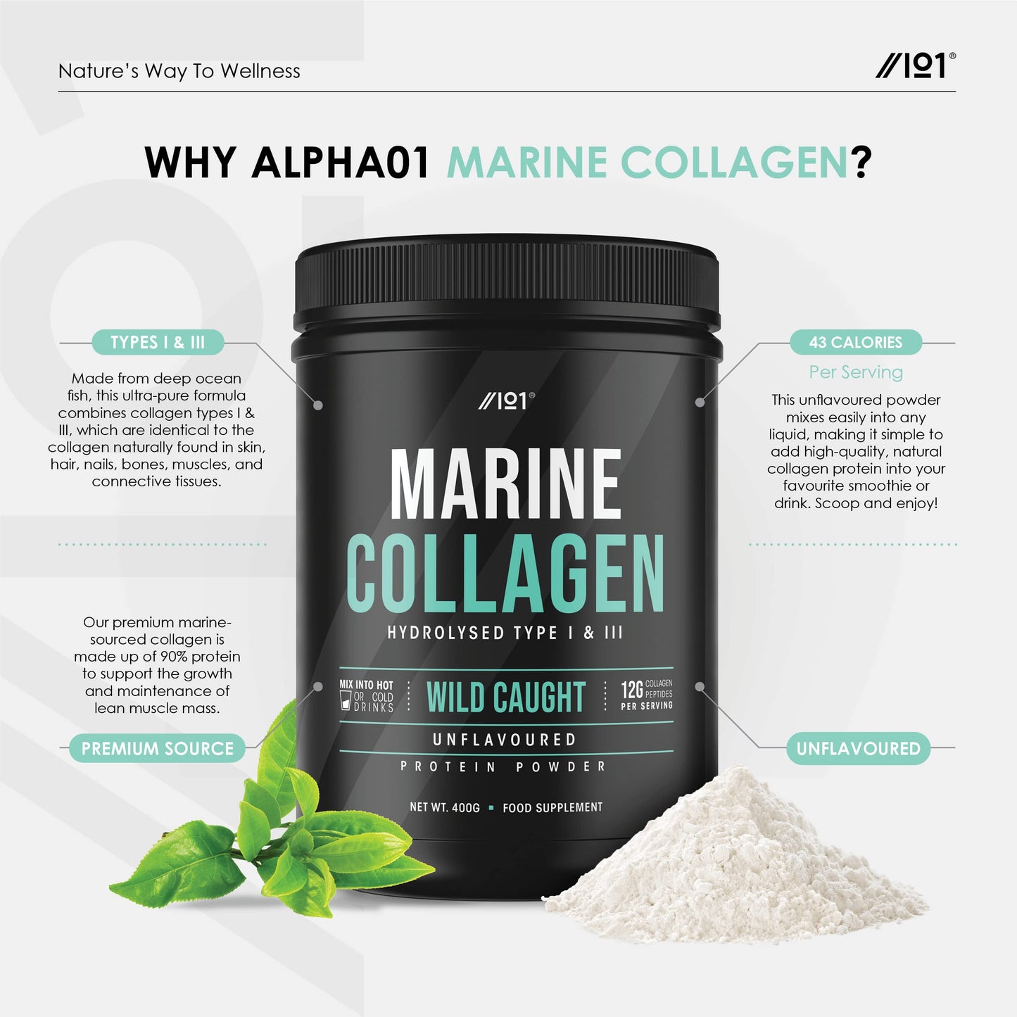 Marine Collagen Powder Supplement - Wild-Caught Canadian Marine Collagen - Unflavoured - Types 1 & 3 Collagen Peptides - Hydrolysed Deep Ocean Canadian Source. Non GMO, Gluten Free, Halal. 400g