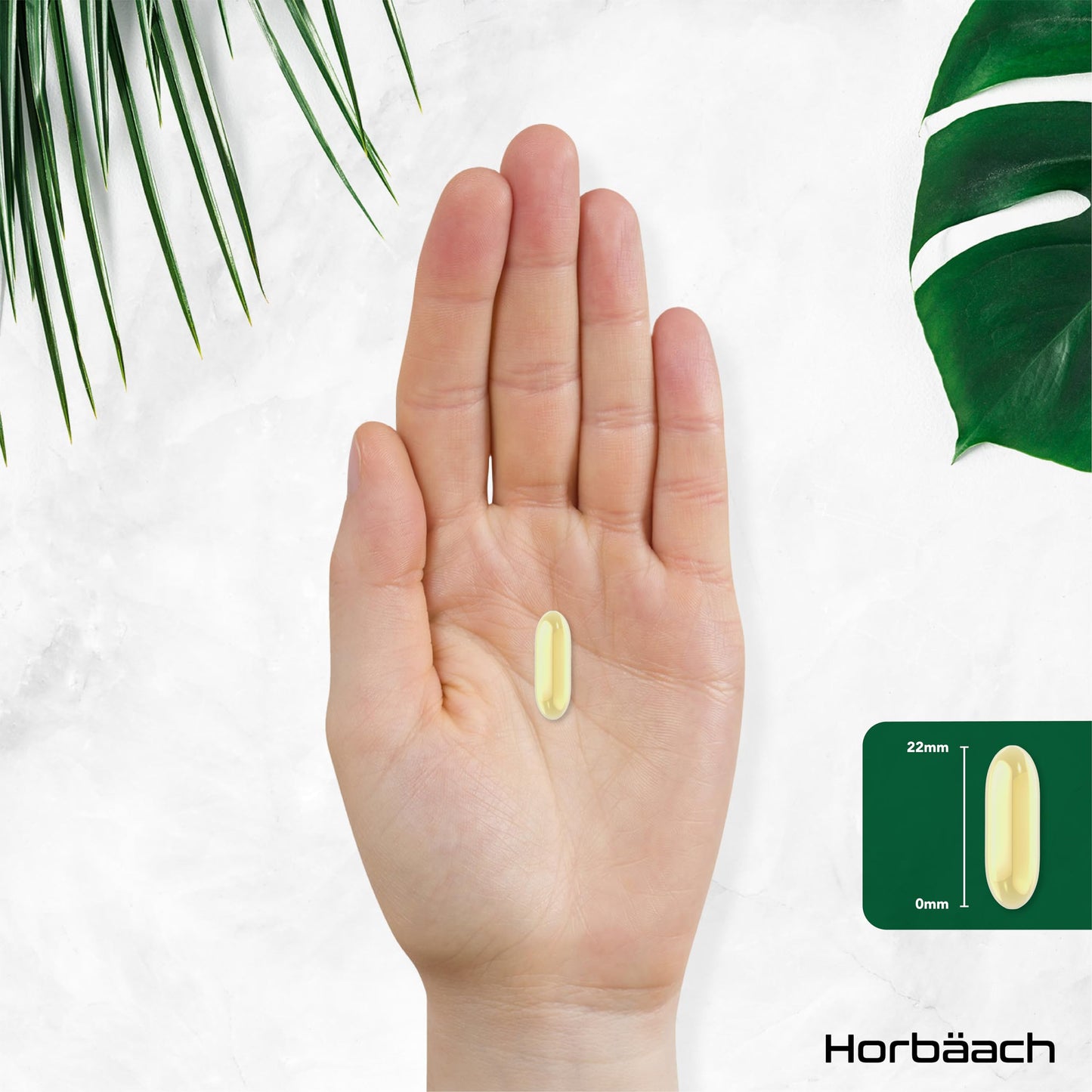 Horbäach Vitamin E Capsules High Strength 1000iu | 200 Count | Vitamin E as DL-Alpha Tocopheryl Acetate | No Artificial Preservatives | By Horbaach