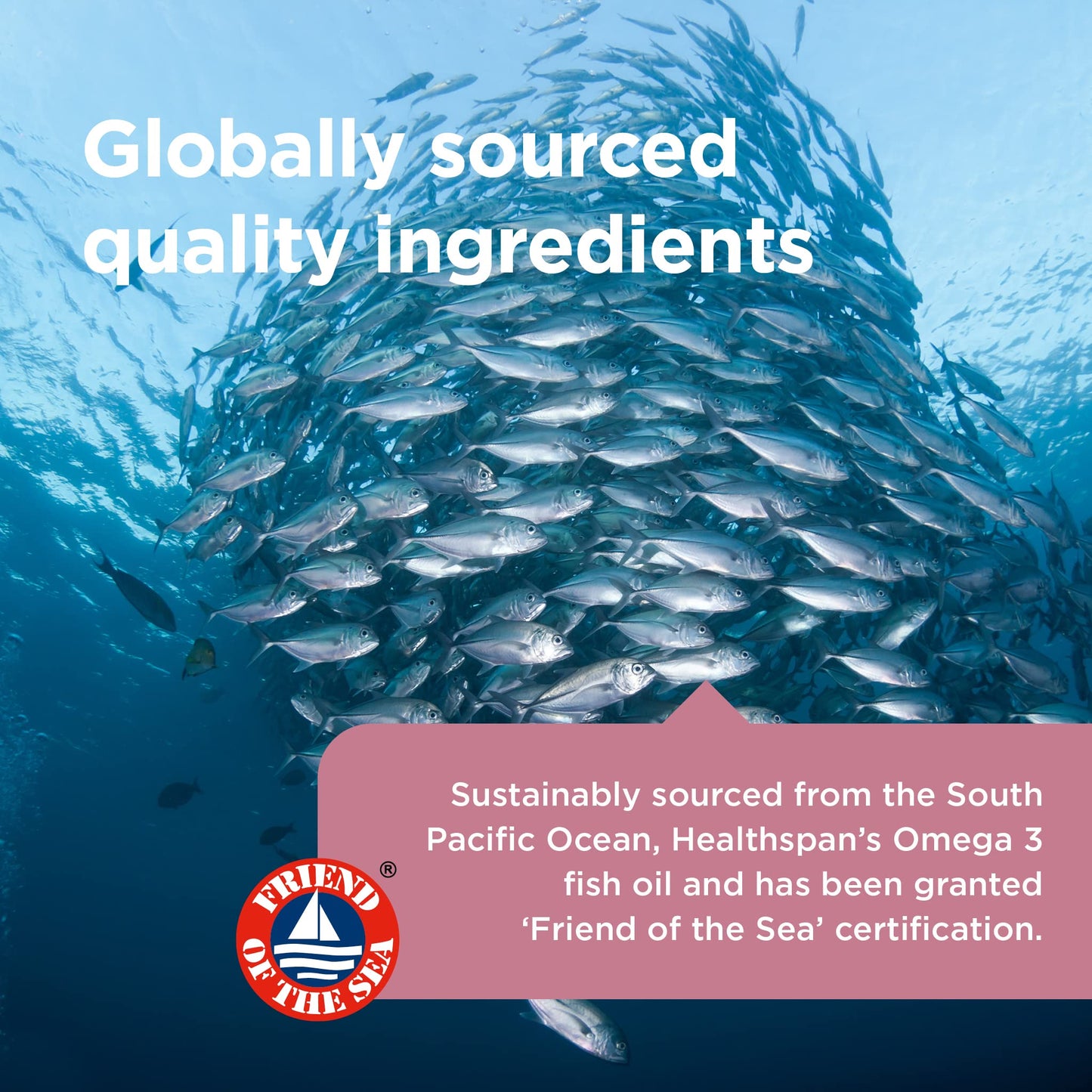 Healthspan Super Strength Omega 3 1,200mg (60 Capsules) | Brain, Heart & Eye Health | 240mg DHA & 360mg EPA per Capsule| Highly Purified to Remove Toxins | Sustainably Sourced Fish Oil