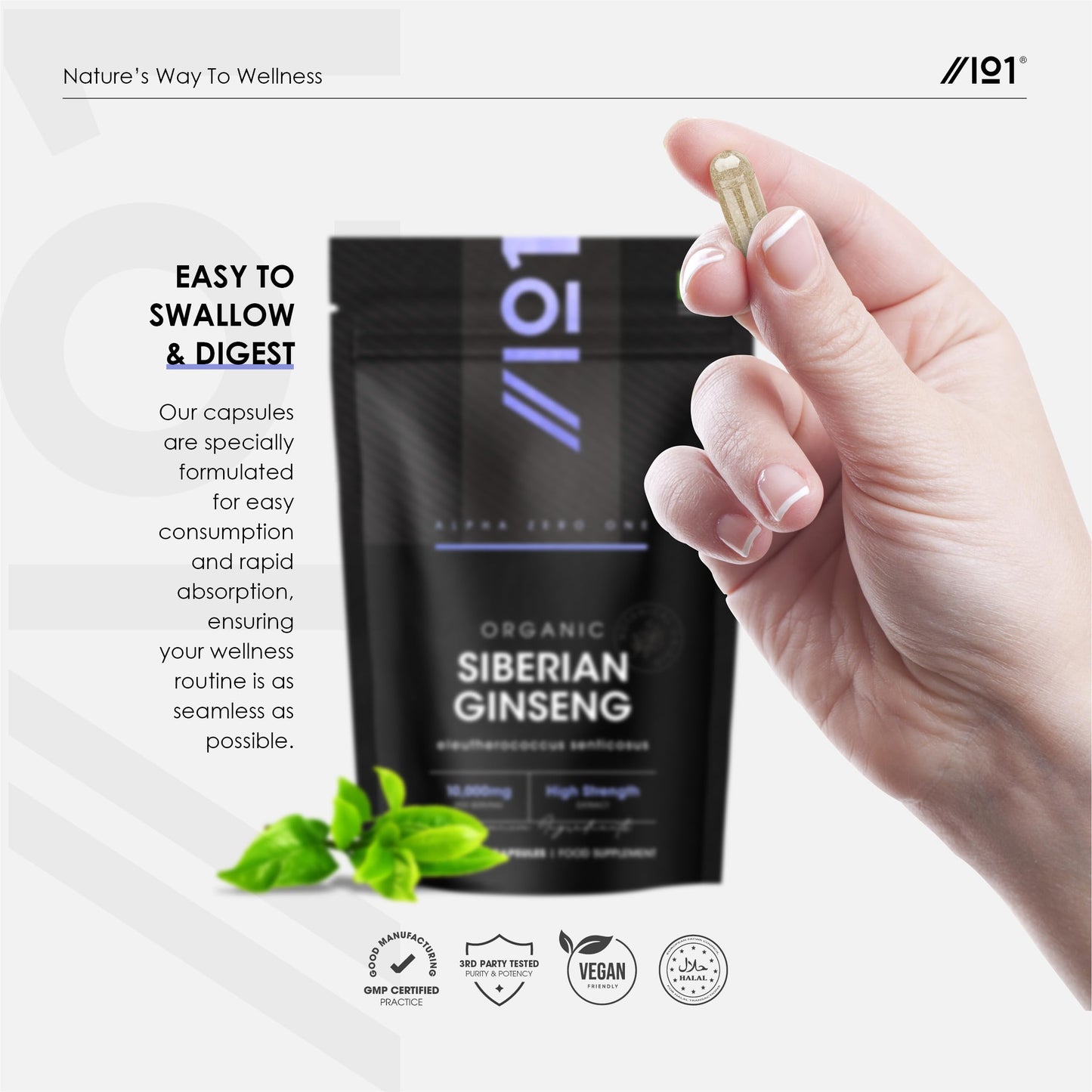ALPHA01 Organic Siberian Ginseng 10,000mg - High Strength Eleutherococcus Senticosus 15:1 Extract - 120 Vegan Capsules – Resealable and Recyclable Pouch by Alpha01