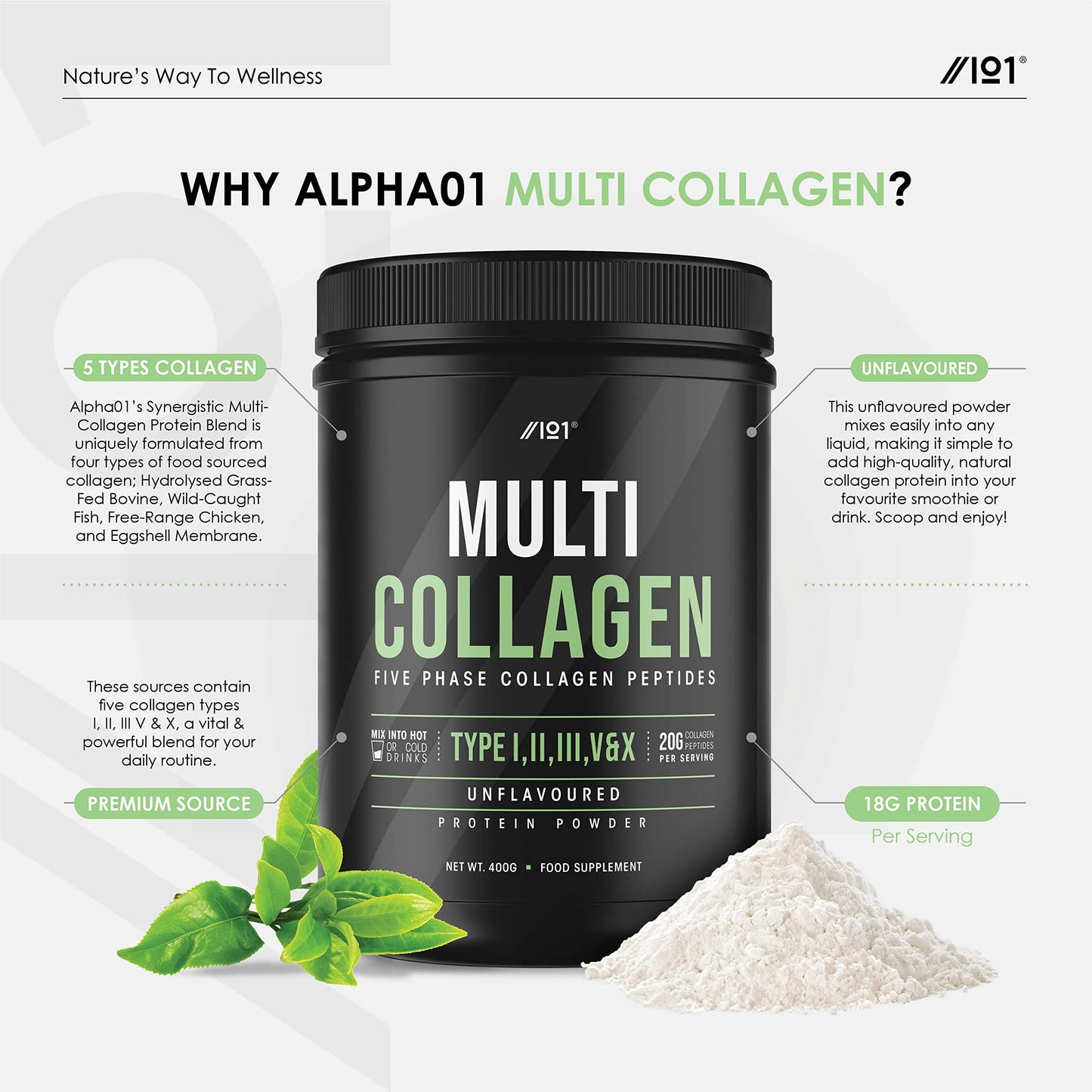 Multi Collagen Protein Powder (400g) - Types I, II, III, V & X - Hydrolyzed Grass Fed Bovine, Wild Caught Fish, & Free-Range Chicken & Eggshell Collagen. Non-GMO, Halal.