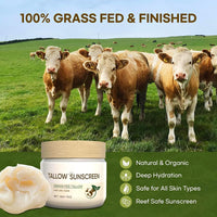 IZBEAUVO Tallow Sunscreen with Zinc Oxide, 100% Grass Fed Beef Tallow Moisturiser & Non Nano Zinc Oxide Sunscreen, Organic Sunblock, Non Greasy Natural Formula, Suitable for Dry Sensitive Skin, Fresh Scent