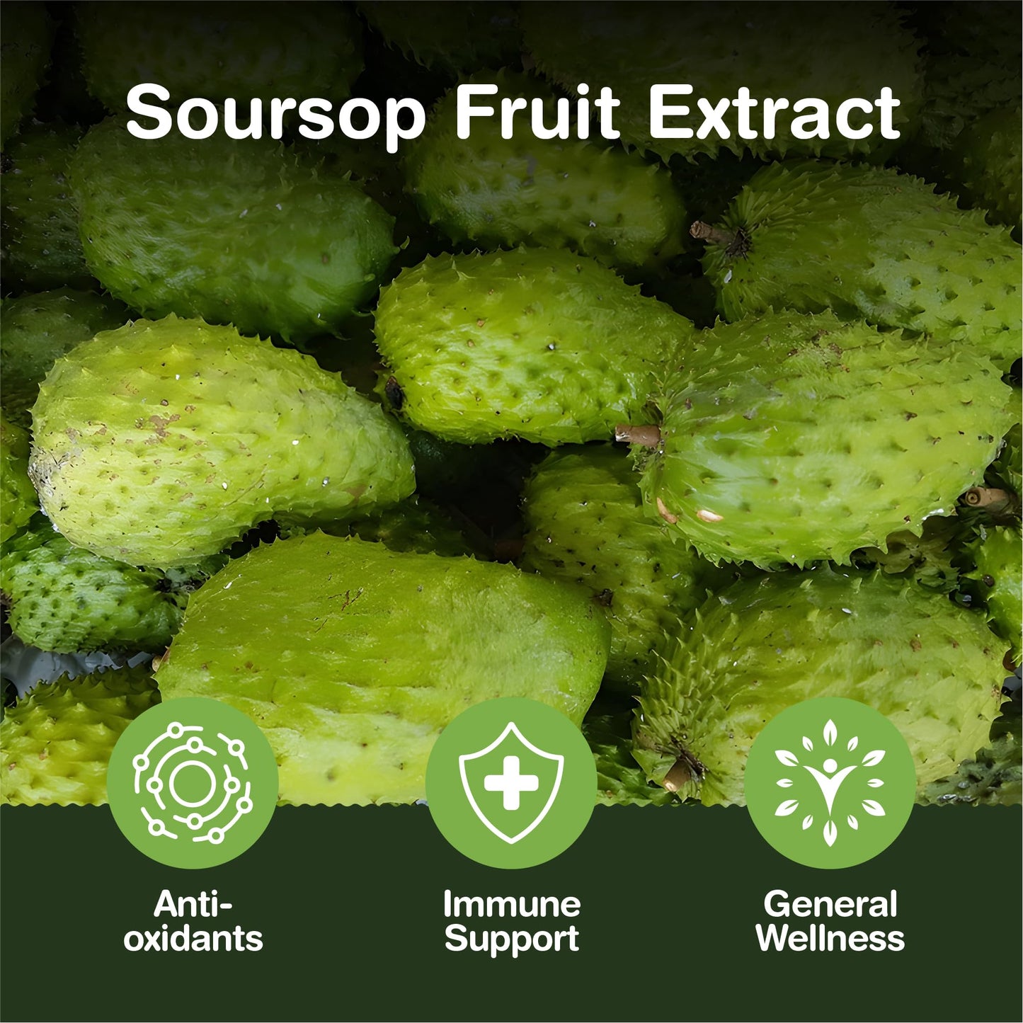 Soursop Graviola Capsules | 13,500mg Per Capsule | 90 Capsules Per Pouch - 3 Months Supply | One A Day | Good Alternative to Soursop Tea, Drops and Tincture | Vegan & UK Made
