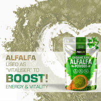 Organic Alfalfa Powder 500g Support Energy and Stress, Vegan Keto Green Superfood Supergreen Raw Natural Alfalfa Powder Juice Shots PROELITE