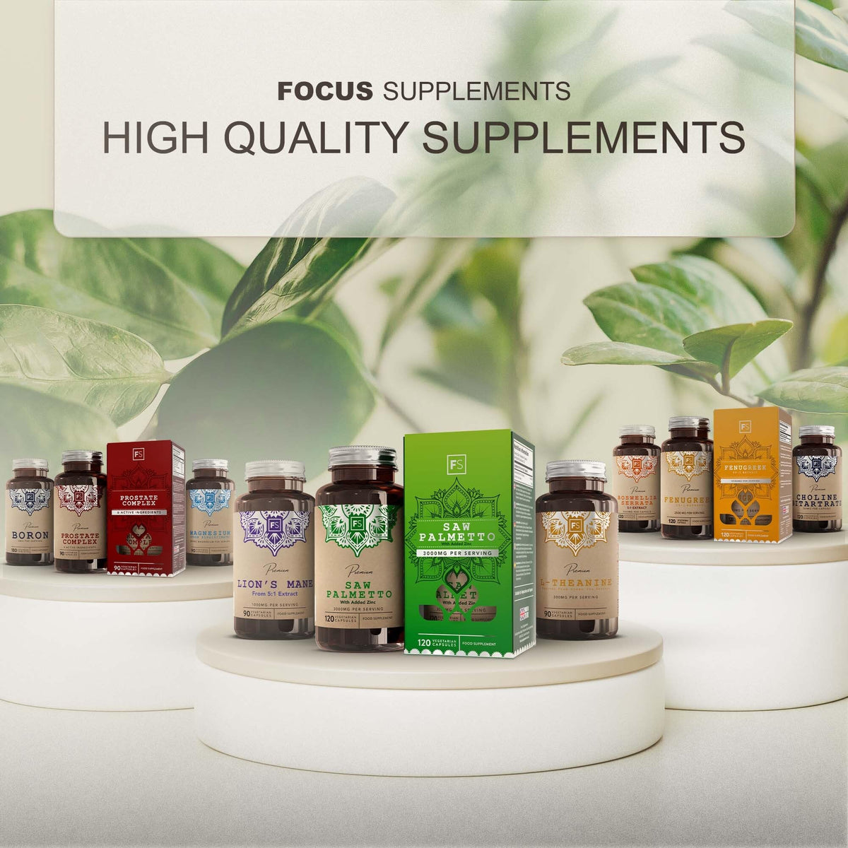 Focus FS L Theanine | 90 L-Theanine Capsules from Green Tea - High Strength 750mg Green Tea Extract Providing 300mg L'theanine per Serving | L Theanine Supplement | Non-GMO Gluten Free | Made in UK