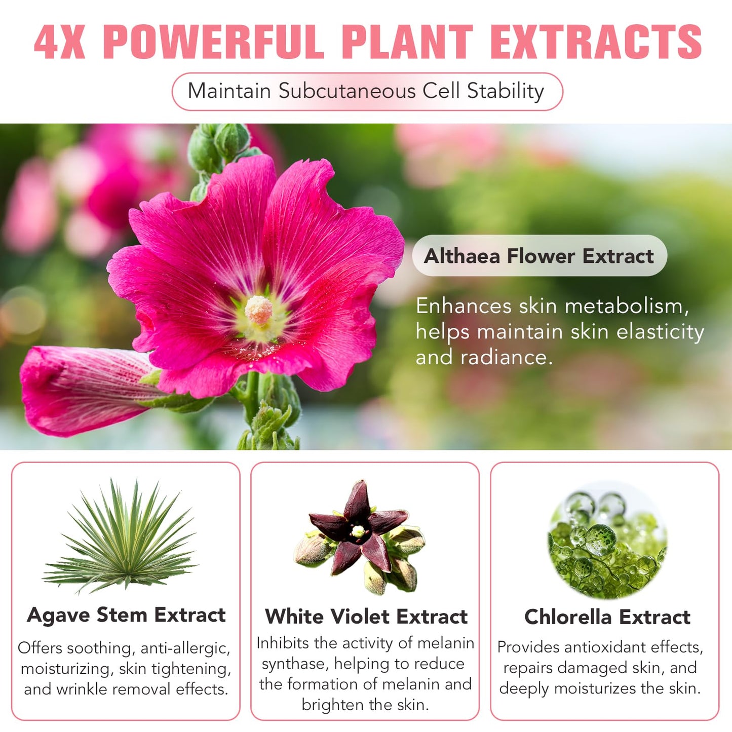 Collagen Night Wrapping Mask 75ml, Collagen Face Mask, Overnight Sleeping Mask with Hydrolysed Elasticity Visible Improved, for Dry & Dehydrated Skin, Reduce Skin Sagging & Dullness