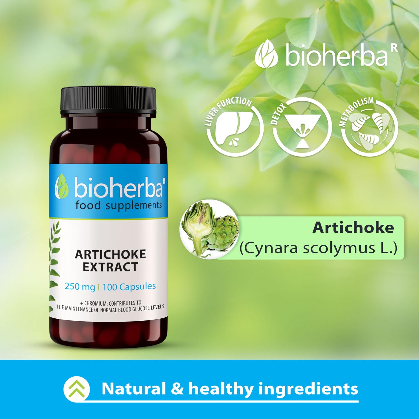 Artichoke Capsules 250 mg - 200 High-Potency Capsules for Liver Health and Detox by BIOHERBA