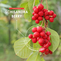 Organic Schisandra Berry 1000mg – High Strength Formula – Certified Organic, Non GMO, Gluten Free, Halal – 120 Vegan Capsules
