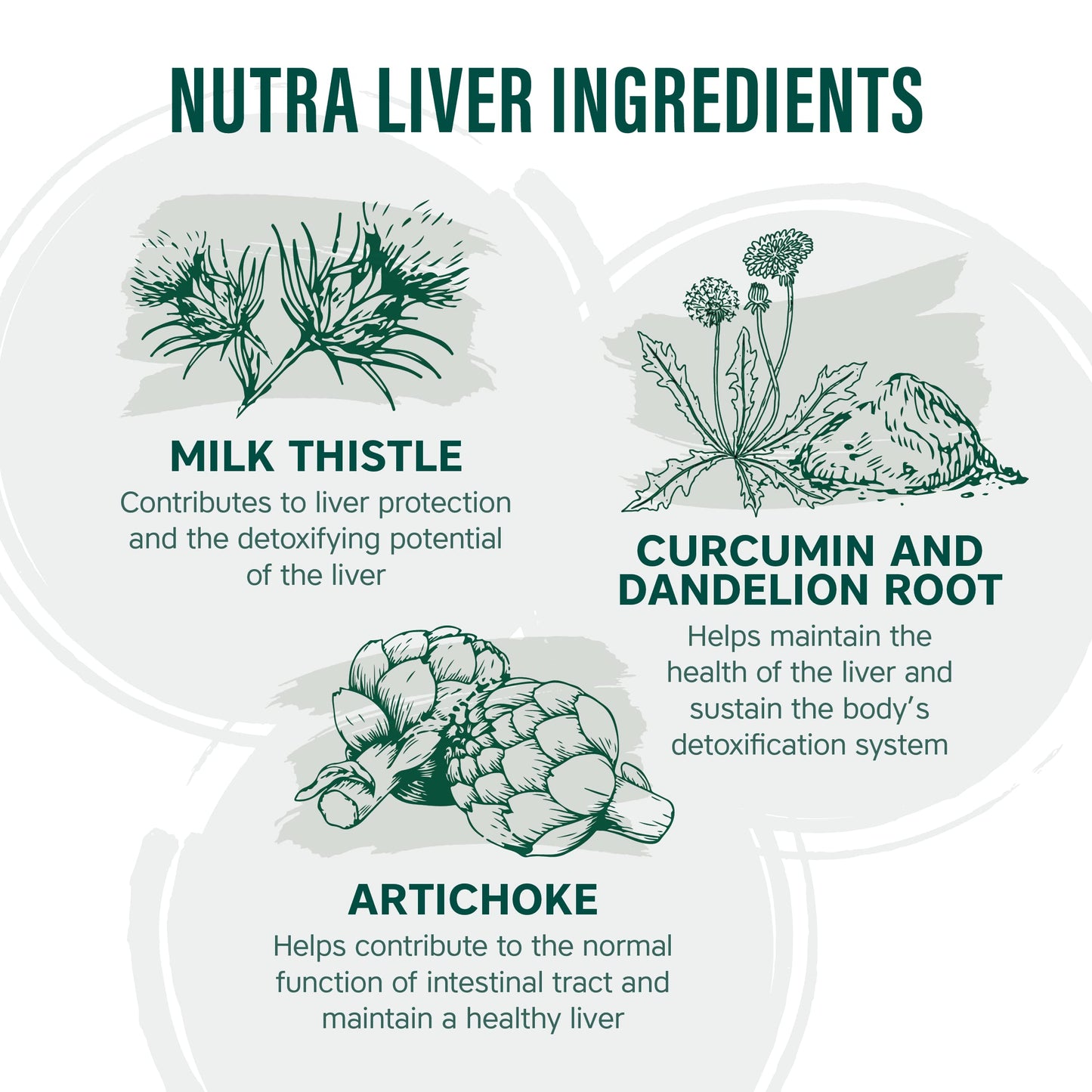 NUTRA Liver - Liver Support Vitamins - 60 Tablets | Hangover Tablet | Providing a Liver, Cleanse, Detox & Repair - by NutraVit