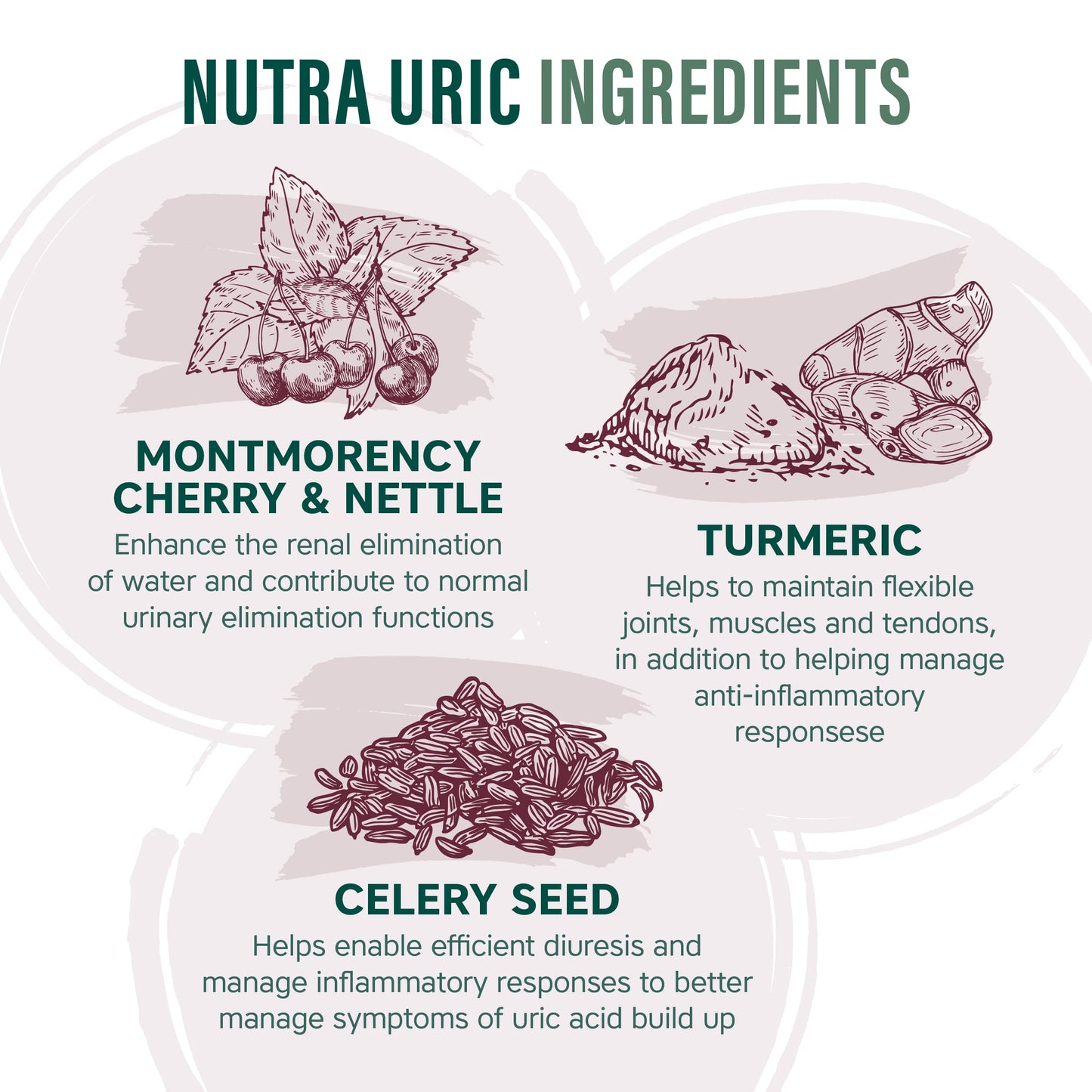 NUTRA URIC - 4000mg Montmorency Cherry| Ultra High Strength - 30 Cherry Tablets| Uric Acid Tablets/Supplement by NutraVit