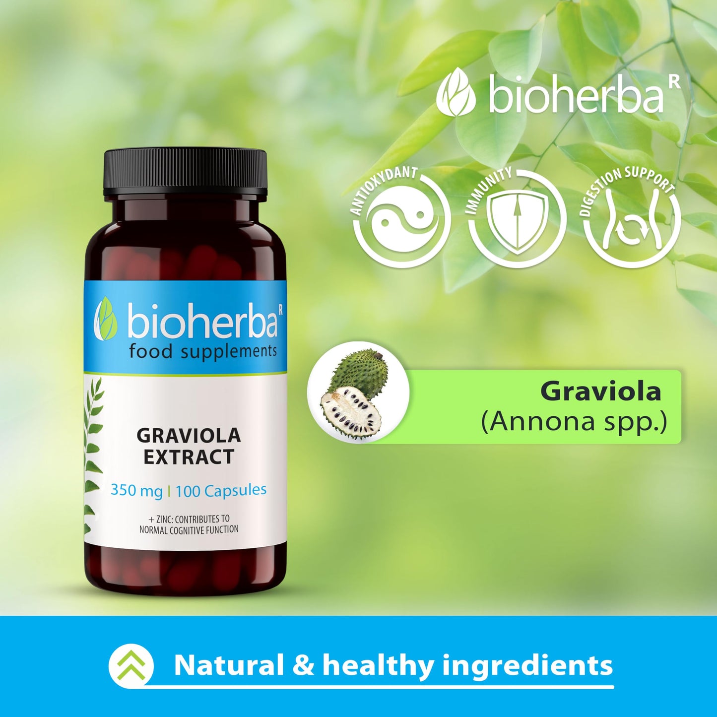 GRAVIOLA Fruit Extract 350 mg – 100 Capsules Natural Immune Support and Antioxidant-Rich Supplement for Overall Health and Wellness by BIOHERBA