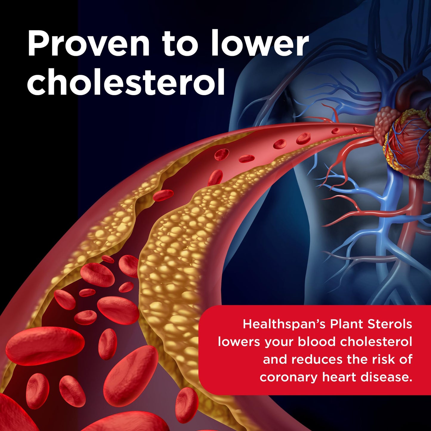 Healthspan Plant Sterols 800mg (90 Tablets) | Proven to Maintain & Lower Cholesterol Levels | Blocks Absorption of Dietary Cholesterol | Reduce The Risk of Coronary Heart Disease | Vegan