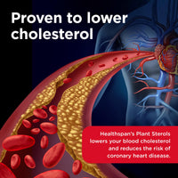Healthspan Plant Sterols 800mg (90 Tablets) | Proven to Maintain & Lower Cholesterol Levels | Blocks Absorption of Dietary Cholesterol | Reduce The Risk of Coronary Heart Disease | Vegan