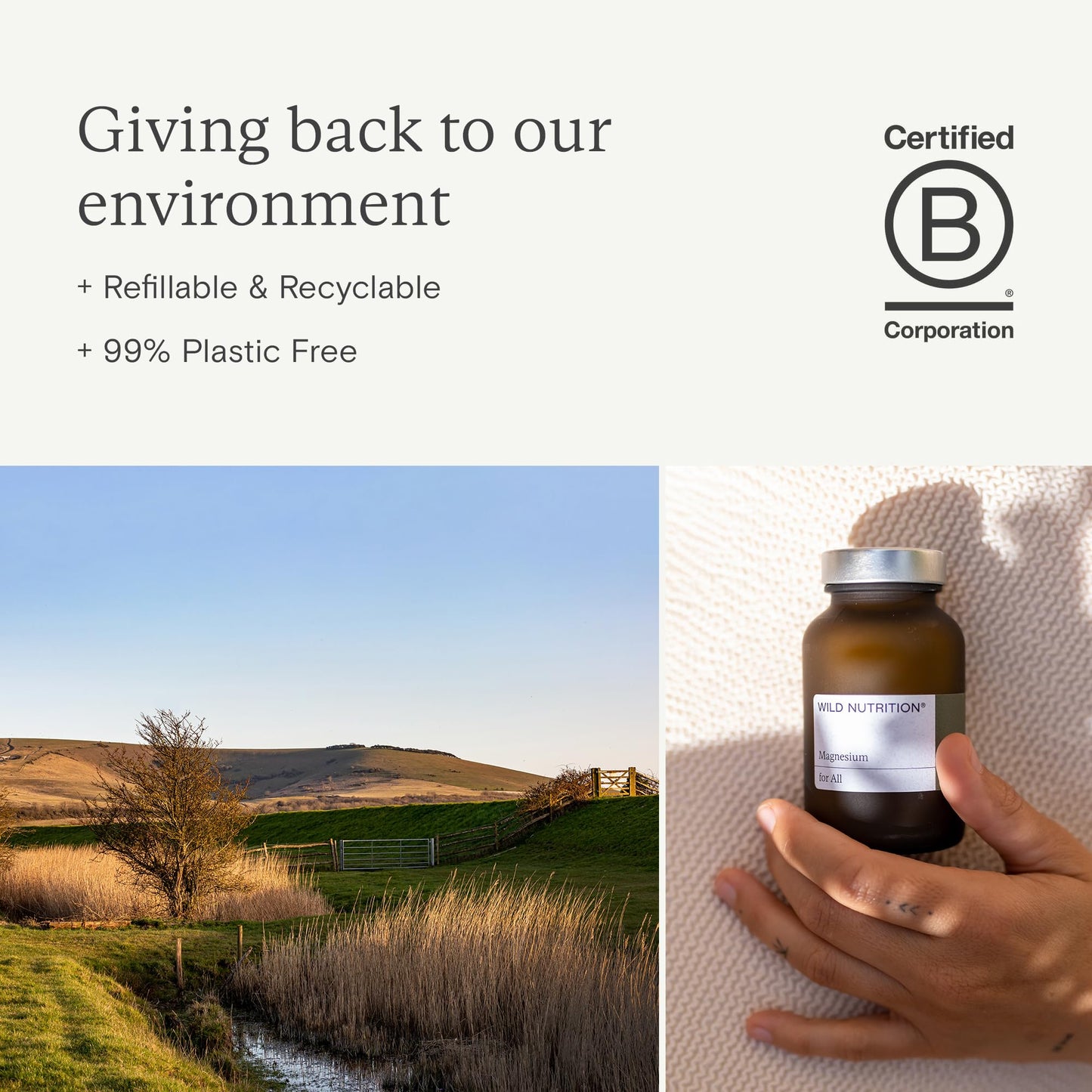 WILD NUTRITION Food-Grown® Energy Support - Natural Energy Support Supplements with Iron, Vitamin C, and Magnesium - Ethically Sourced - Maintain Energy Levels + Immune Support - 60 Capsules