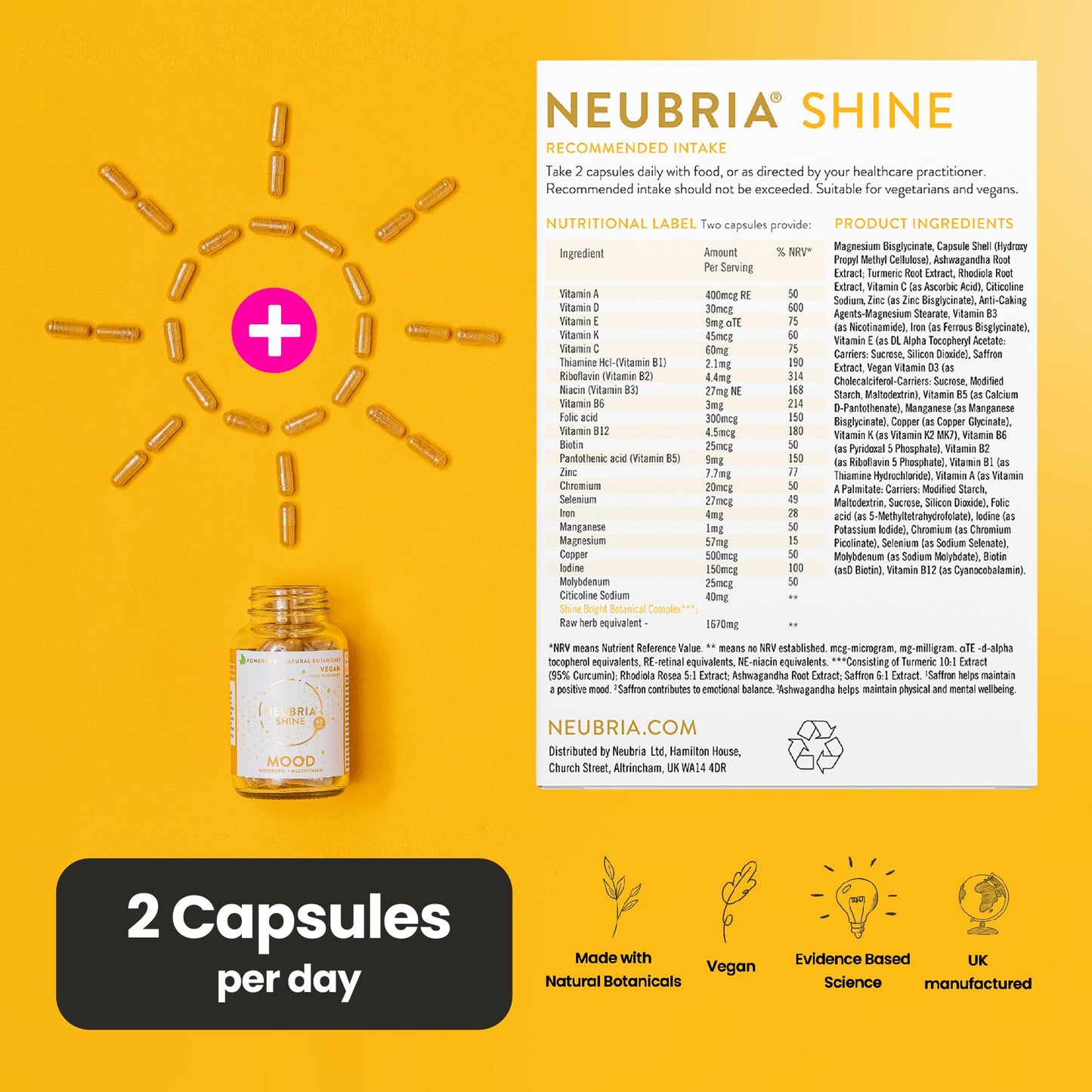 NEUBRIA Edge Focus Supplement – Multivitamin + Nootropics Brain Support with Bacopa Monnieri, Ashwagandha, Rhodiola, Ginkgo Biloba, Sage, Blueberry & Rosemary – Potent Cognitive Formula – 60 Capsules