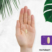 Hair Skin and Nails Vitamins | with Biotin, Zinc and Selenium | Beauty Supplement for Women and Men | 120 Vegetarian Tablets | by Horbaach