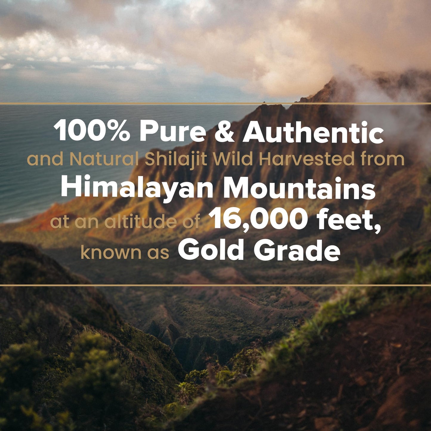 Generic Ultimate Authentic Premium Pukka Shilajit - 100% Pure Himalayan Organic Resin with High Potency Fulvic Acid & Trace Minerals for Energy & Vitality for Men and Women - (40g)