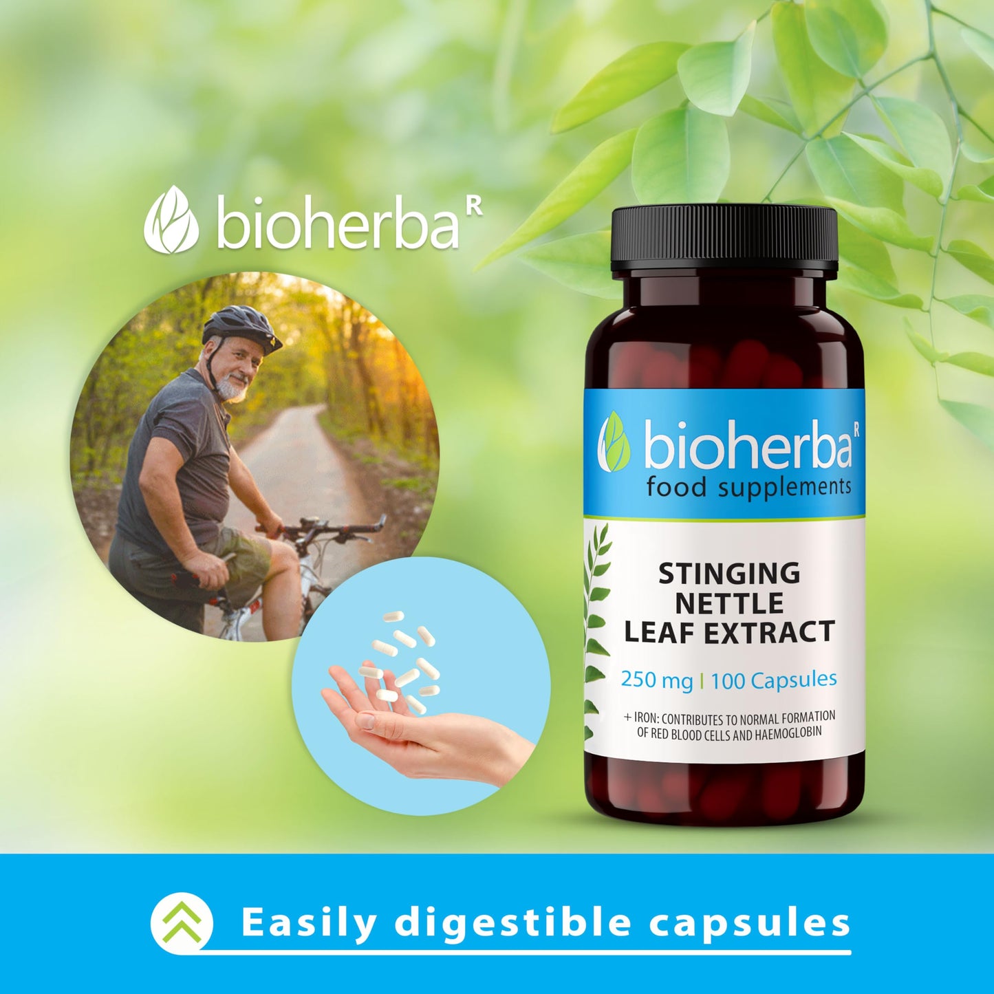 Stinging Nettle Capsules 250 mg - 300 Count Herbal Supplement for Prostate Health Vitality and Water Balance Support by BIOHERBA