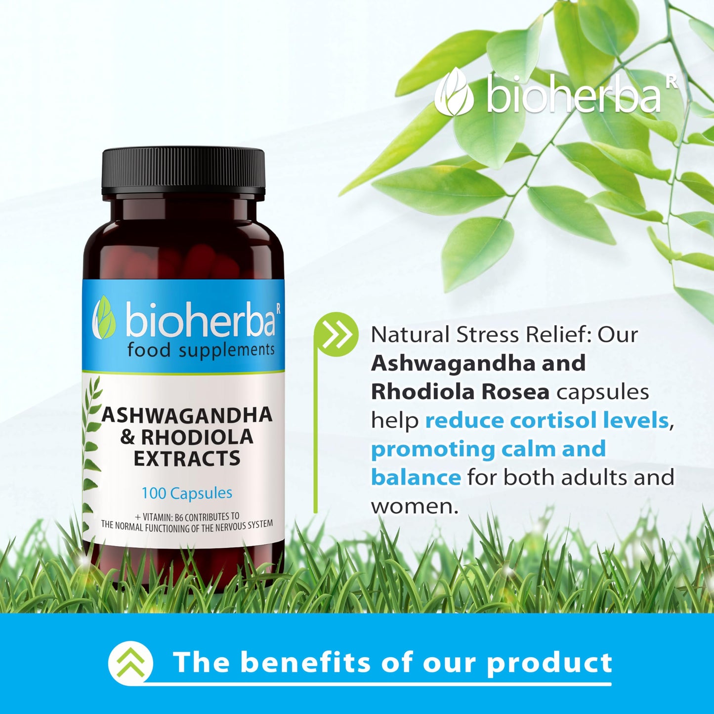 Ashwagandha Rhodiola Supplement by BIOHERBA - 100 High-Potency Capsules for Stress Relief and Sleep Support for Adults