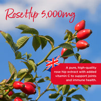 Healthspan Rose Hip 5,000mg (120 Tablets) | Supports Joints & Immune Health | Helps Maintain Healthy & Flexible Joints | Added Vitamin C | High In Flavonoids & Polyphenols | Vegan