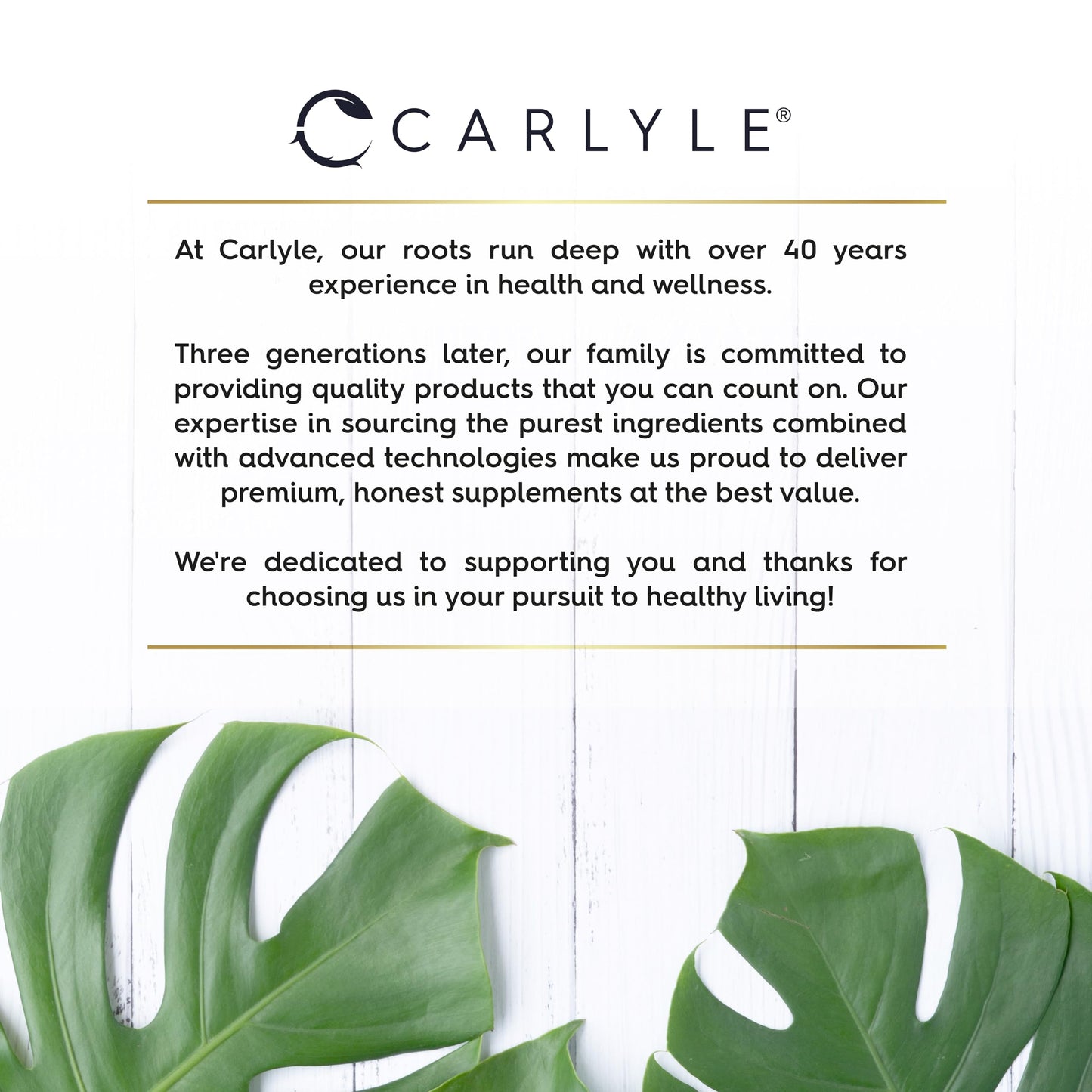 Vitamin B1 Thiamin 100mg Tablets | 100 Count (3+ Months Supply) | High Strength VIT B1 Thiamine Supplement | No Artificial Preservatives | by Carlyle